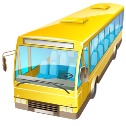 Bus Coach Tours